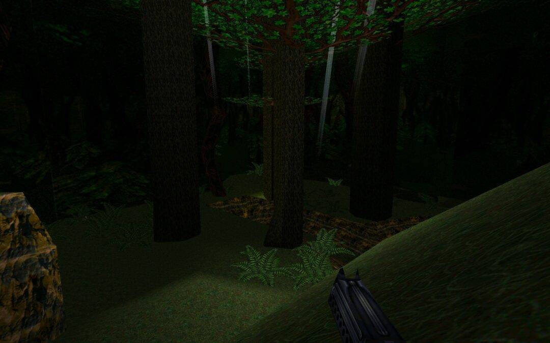 Forest